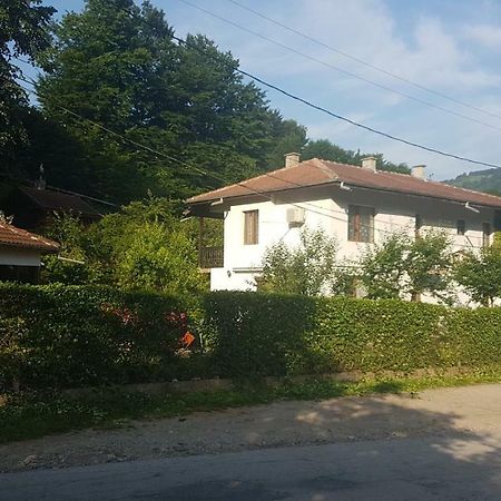 Вила Керенски Ribarica Εξωτερικό φωτογραφία