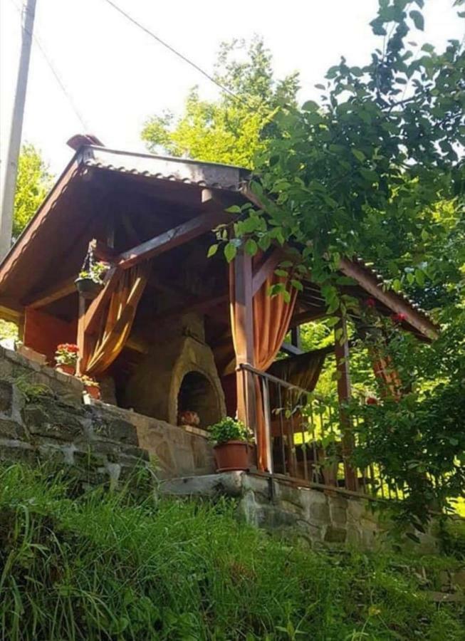 Вила Керенски Ribarica Εξωτερικό φωτογραφία