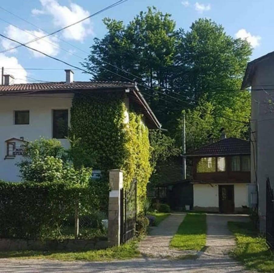 Вила Керенски Ribarica Εξωτερικό φωτογραφία