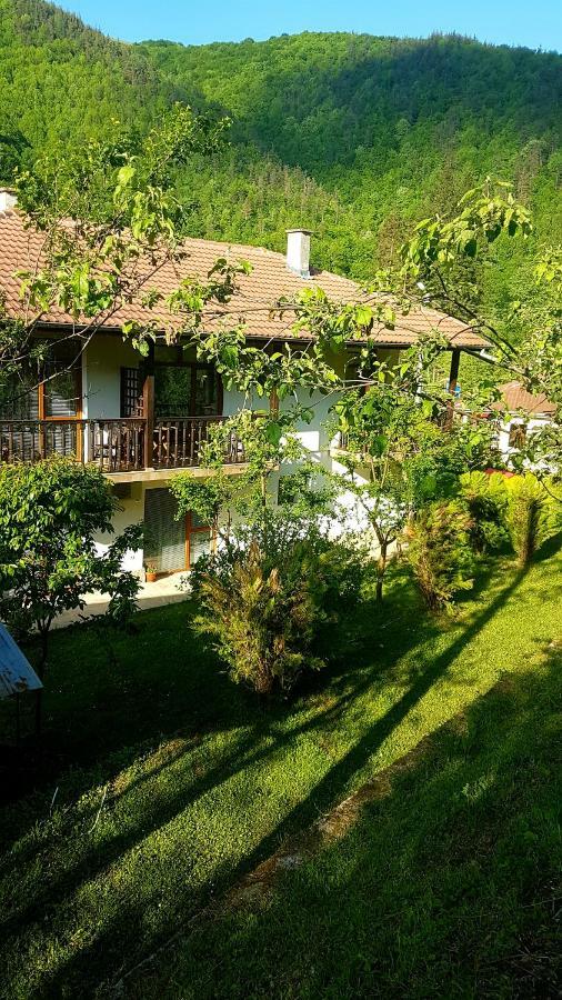 Вила Керенски Ribarica Εξωτερικό φωτογραφία