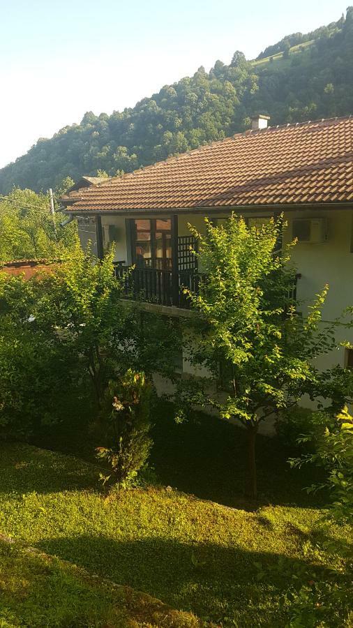 Вила Керенски Ribarica Εξωτερικό φωτογραφία