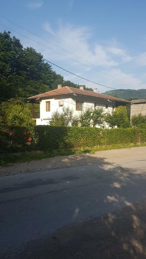 Вила Керенски Ribarica Εξωτερικό φωτογραφία