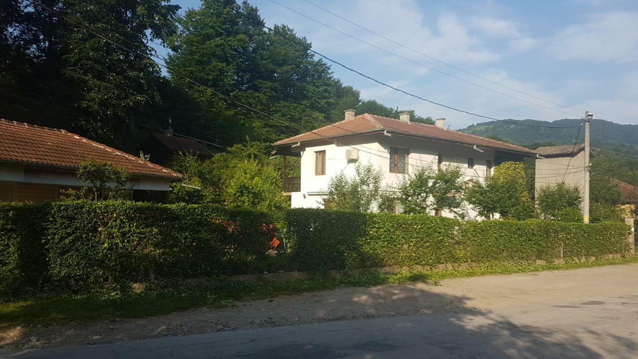 Вила Керенски Ribarica Εξωτερικό φωτογραφία