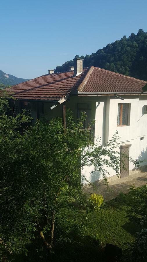 Вила Керенски Ribarica Εξωτερικό φωτογραφία